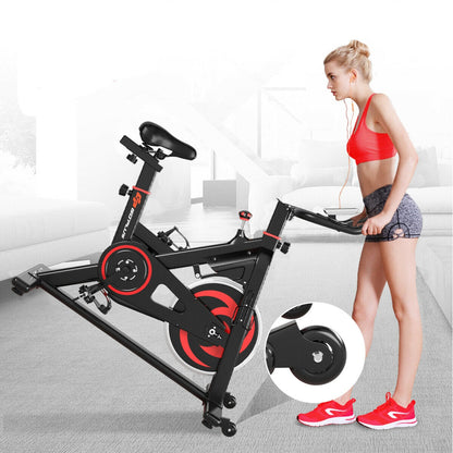 30 lbs Family Fitness Aerobic Exercise Magnetic Bicycle