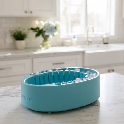 Face Plunge Pure - Facial Cold Plunge Bowl with Ice Chamber